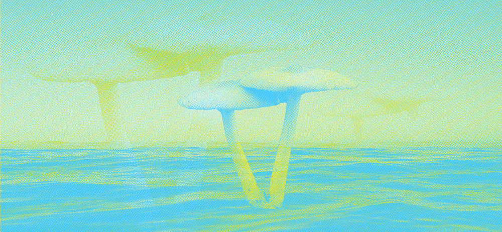 A floating pair of functional mushrooms
