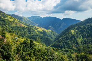Mountains in Jamaica, where psilocybin tourism is on the rise